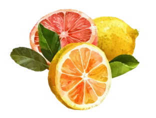 Fresh citrus fruits sold at Boca Raton farmers market